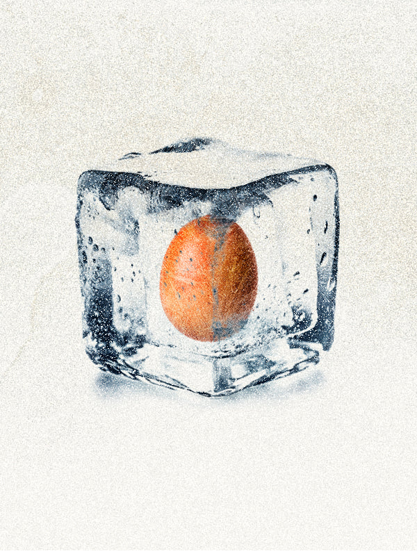 An orange egg frozen inside a clear ice cube, conveying the cool, clinical, and hopeful mood around egg freezing. 
