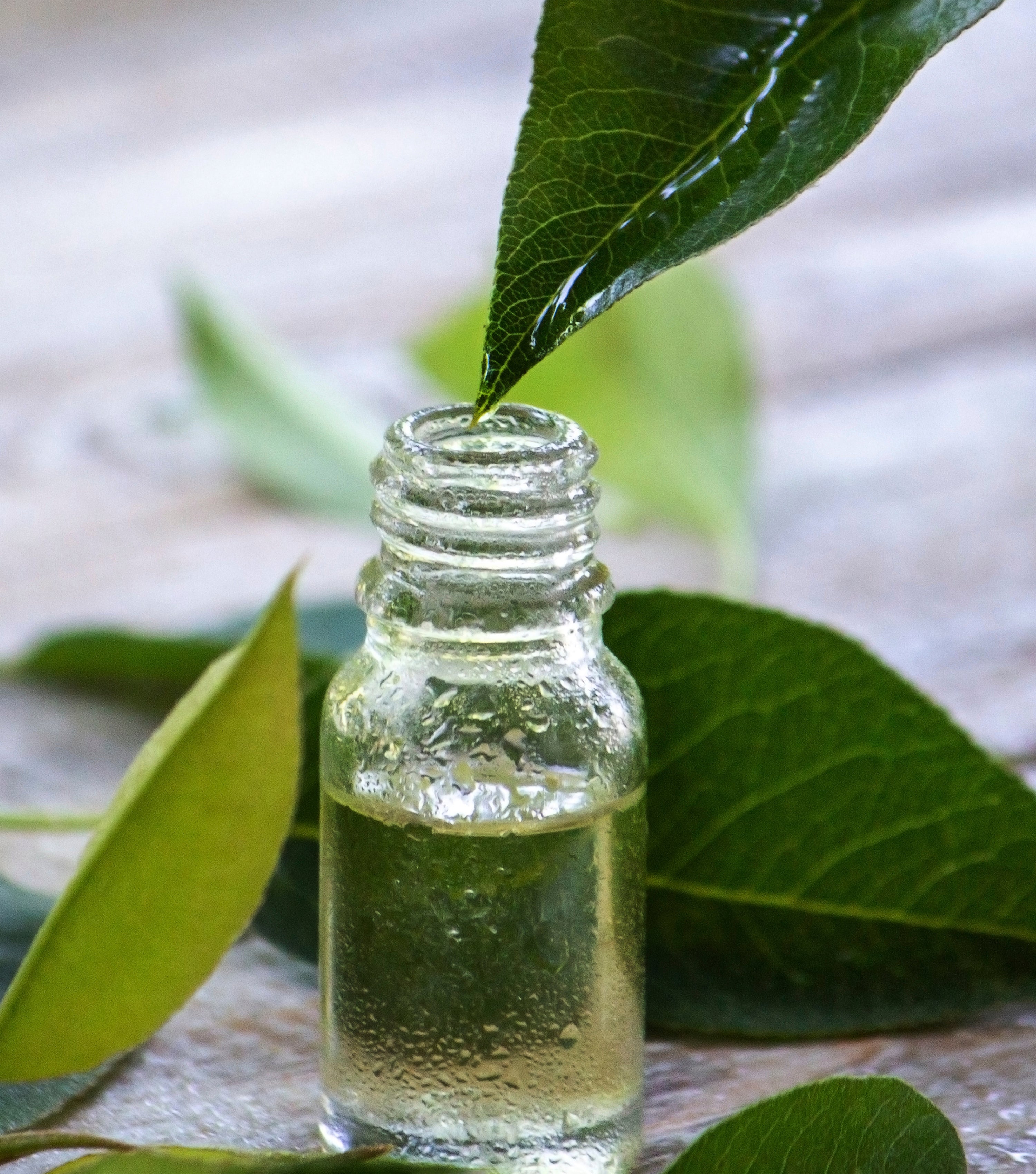 Fresh green leaf tip touching the rim of a small open glass vial of clear liquid, on weathered wood.