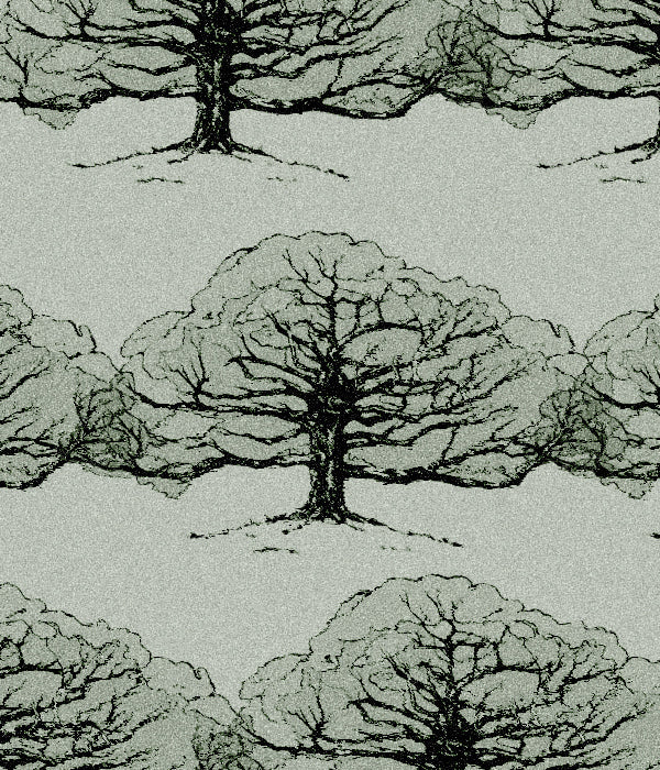 Black and white drawing of bare trees evokes a sense of stark beauty and family roots in winter.
