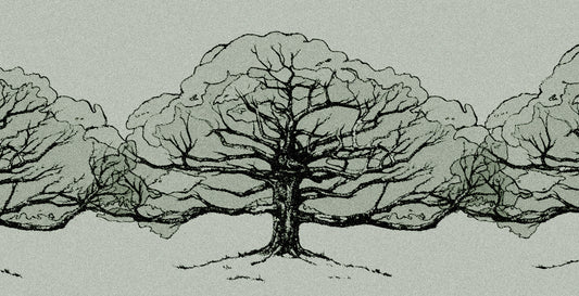 The image is a black and white drawing or sketch of a tree without any leaves.