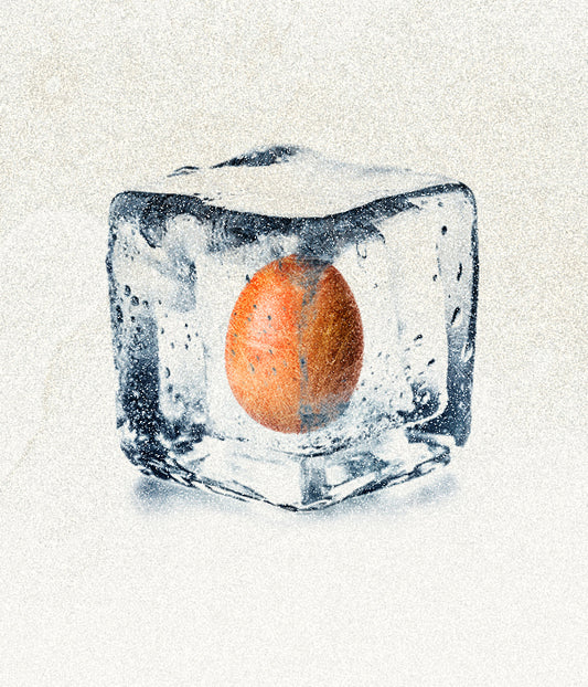 Illustration of a egg in ice cube.