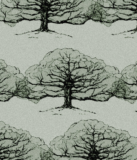 The image is a black and white drawing or sketch of a tree without any leaves.